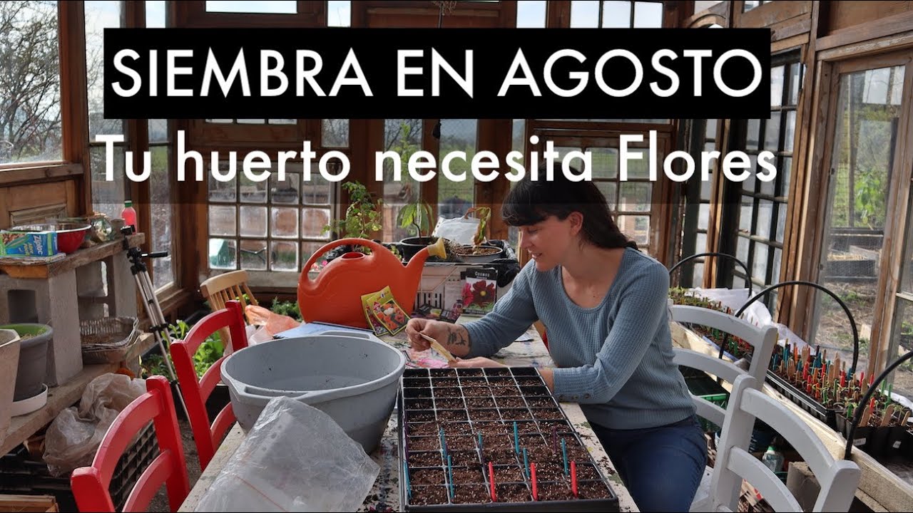 🌺🌼🌸  Siembra de AGOSTO | Por qué tu huerto necesita Flores!  🌺🌻🌼🌸  POLINIZACIÓN 🐝 #CorredorBiologico