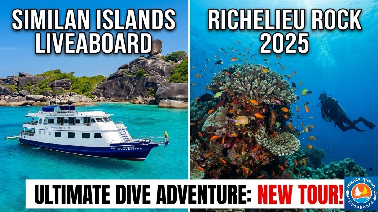 Eat, Sleep, Dive, Repeat: Similan Islands Richelieu Rock KSA Liveaboard diving Manta Queen 斯米蘭船宿水肺潛水