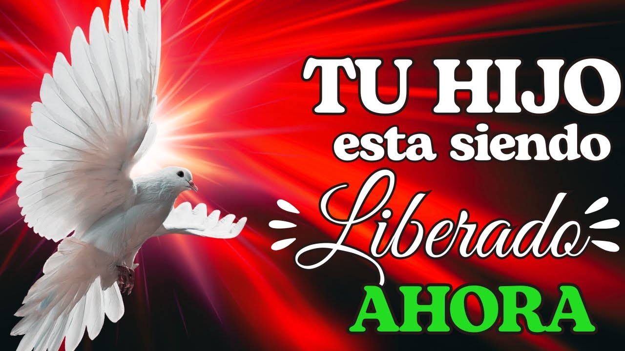 🕊️ Haz Esta Oración por tu Hijo y Mira Cómo el Espíritu Santo Empieza a Liberarlo 🙏✨