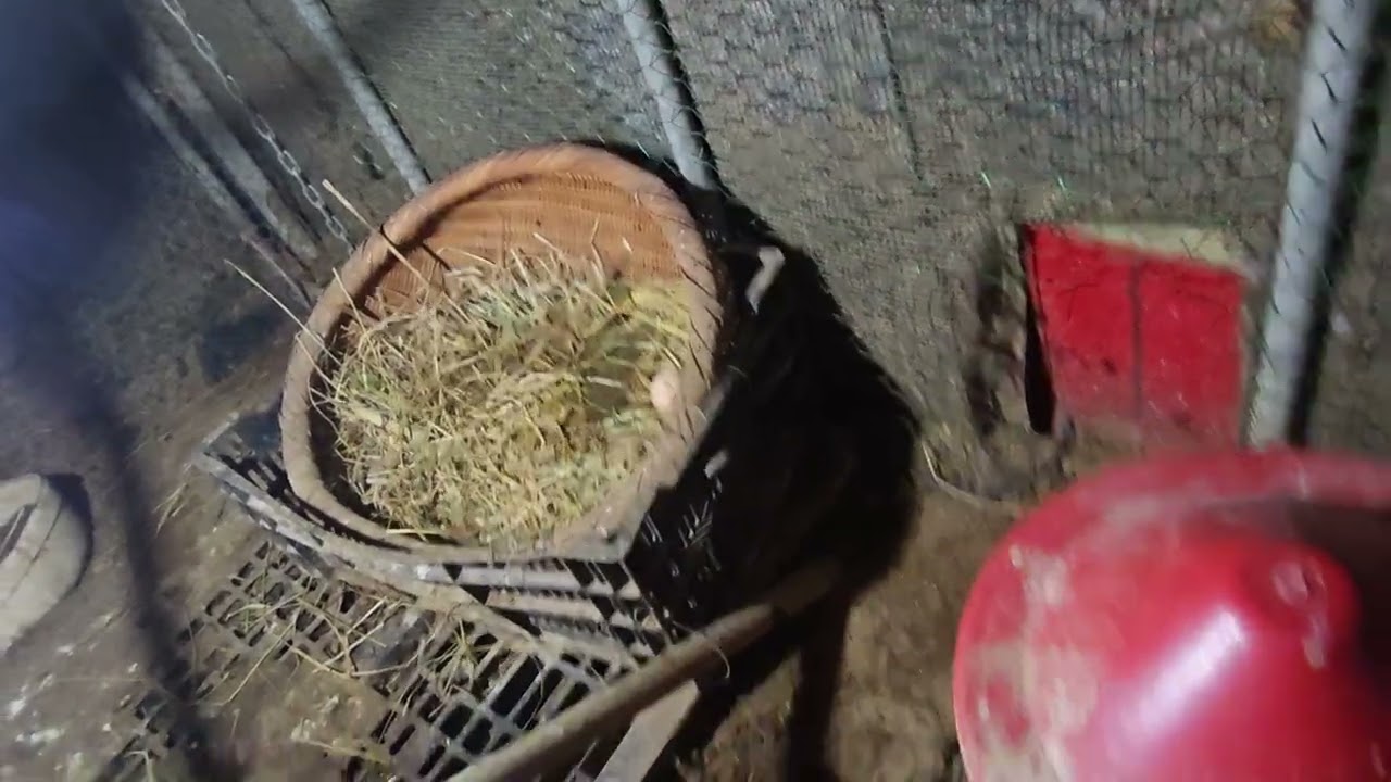 2026년 3월 2일 ㅡㅡㅡ꼼지락 농원 순간 일기 Kkomjirak Farm Moment Diary