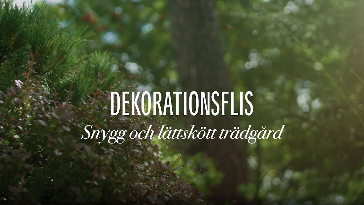 Skapa en vacker och lättskött trädgård med hjälp av dekorationsflis