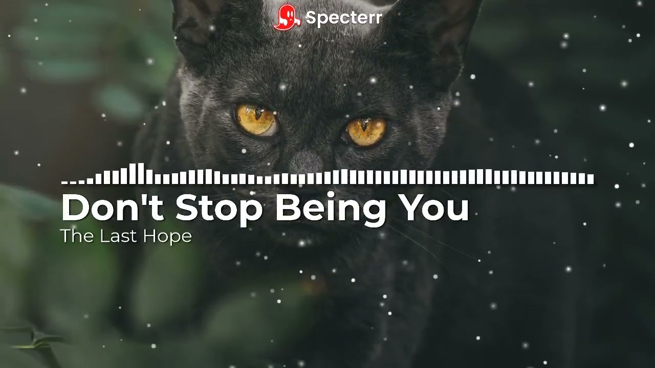 The Last Hope (Don't Stop Being You Official Audio)