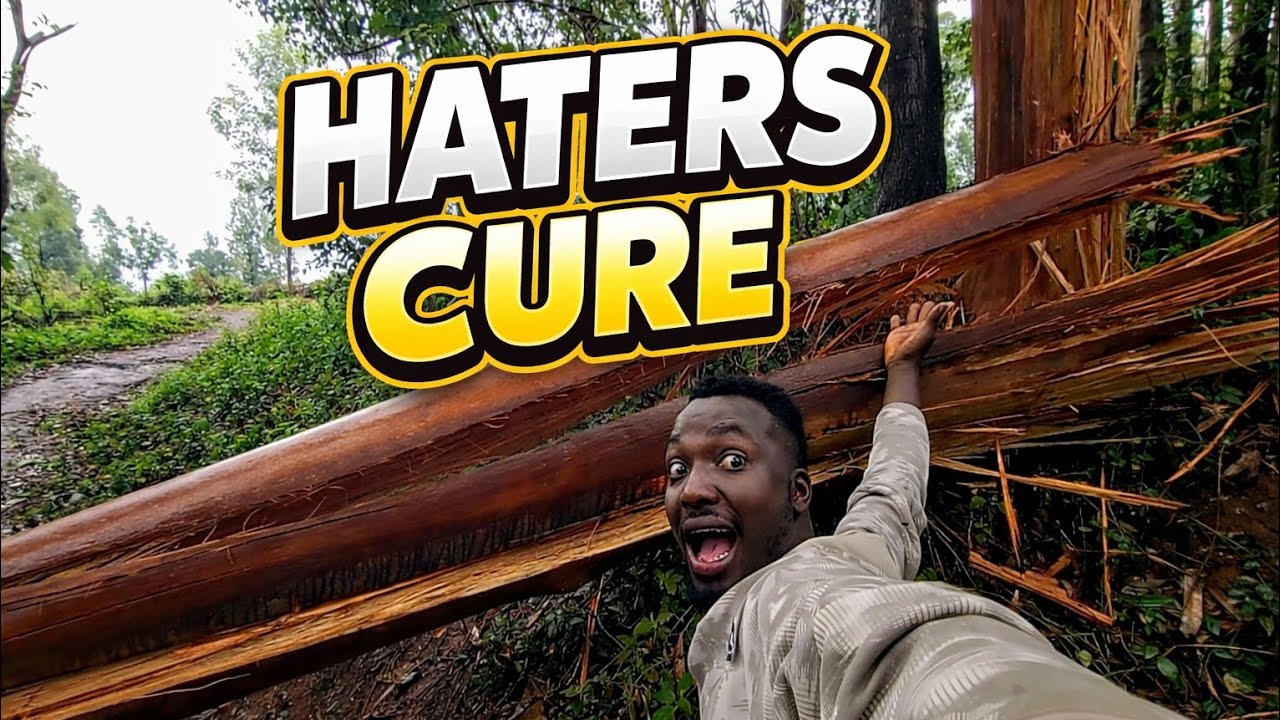 @iammarwa HATERS IN TROUBLE 