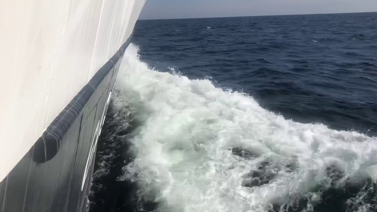 Sustainable fishing in the Baltic Sea 2020