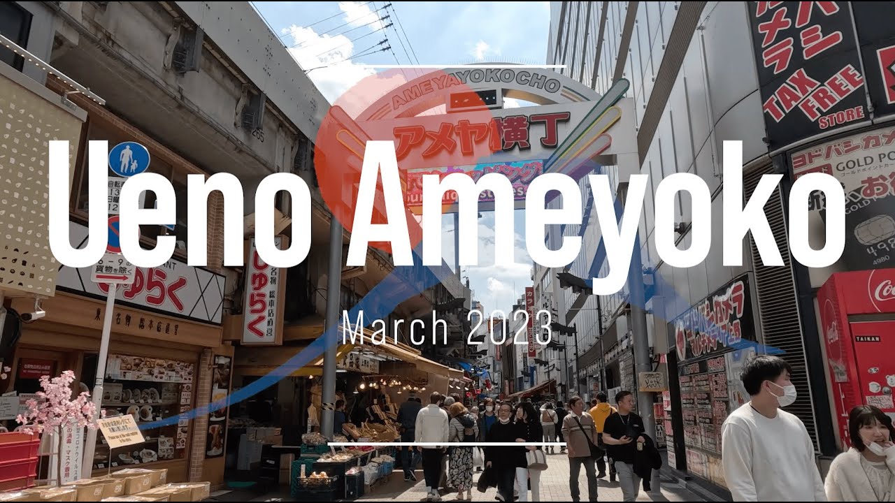 Ueno Ameyoko Shopping Street wandering