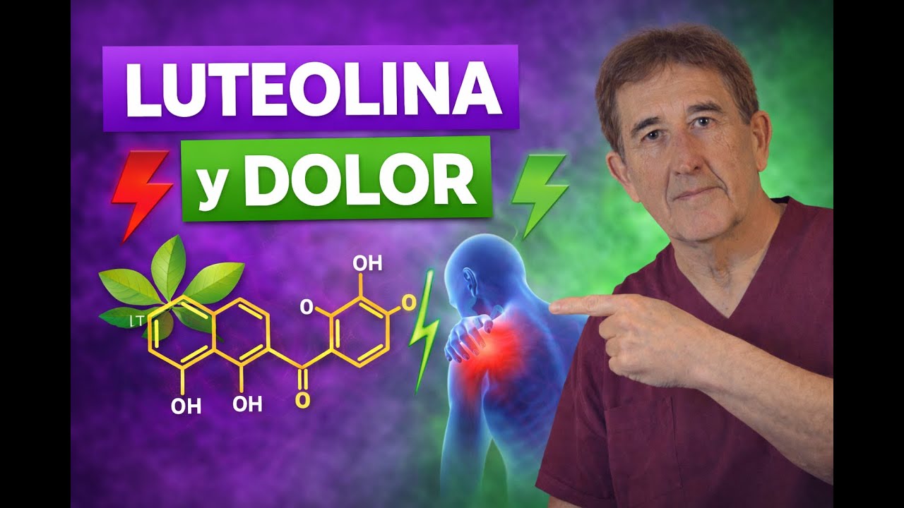 LUTEOLINA 5 beneficios comprobados