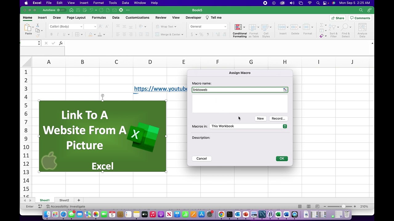 Linking A Picture To A Website In Excel - Also Link Shapes & Icons