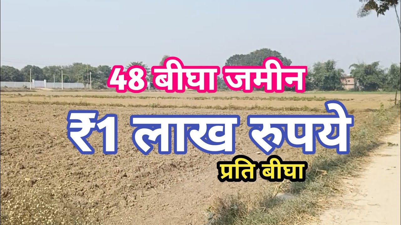 48.बीघा जमीन खरीदे मात्र ₹1 लाख प्रति बीघा में agricultur land for sale