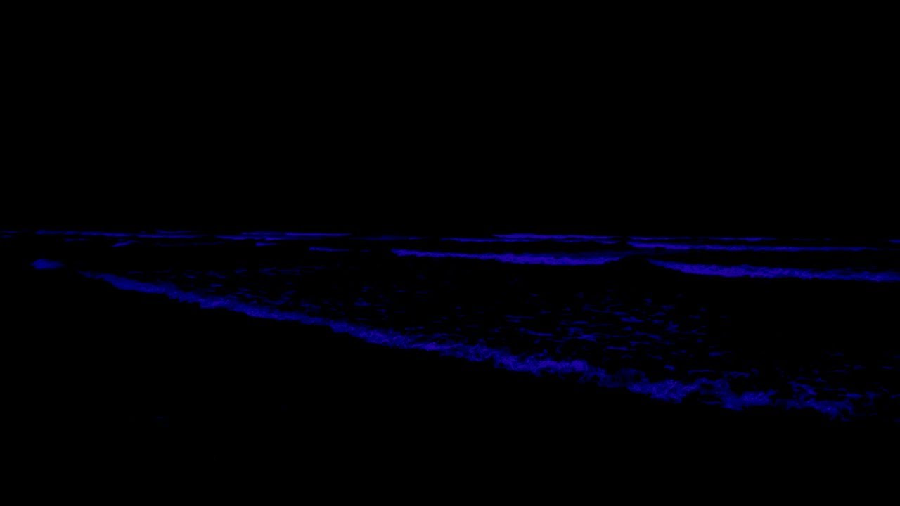 Drift Into Deep Sleep (NO ADS) • Inner Healing & Deep Sleep For Adhd • Full Body Relaxation