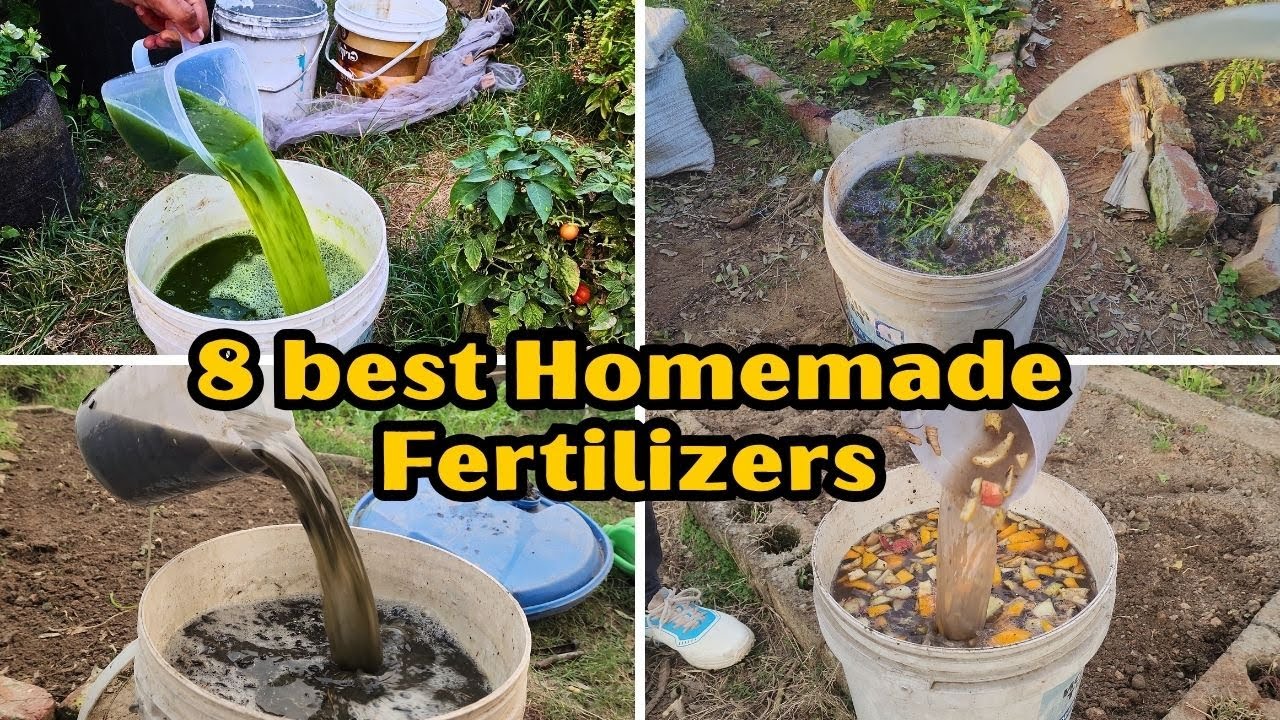 &ldquo;Unlock the Magic of Homemade Fertilizers&mdash;8 Simple Recipes That Work Like Spells!&rdquo;