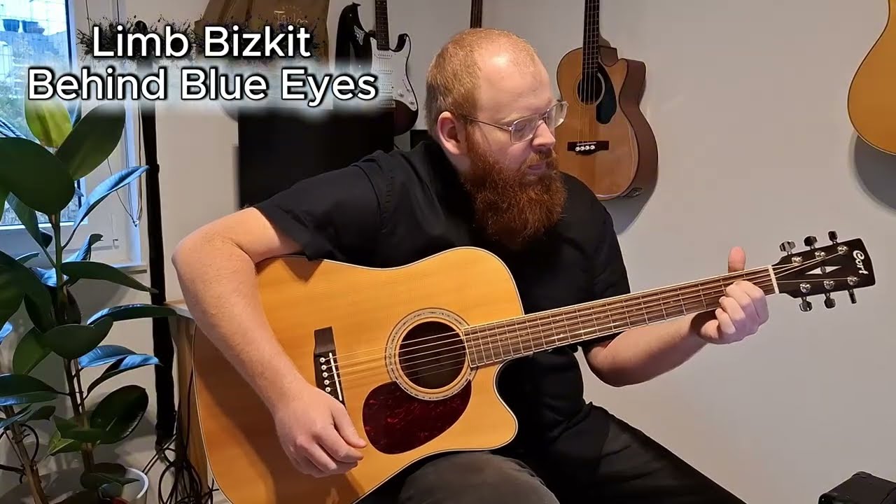 Behind Blue Eyes - Cover