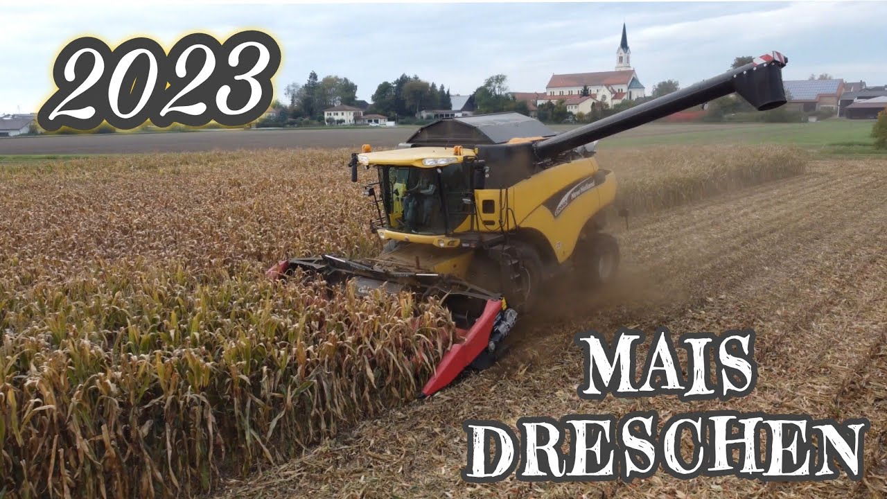 K&ouml;rnermais dreschen 2023 🌽🚜 | Landwirtschaft Niederbayern