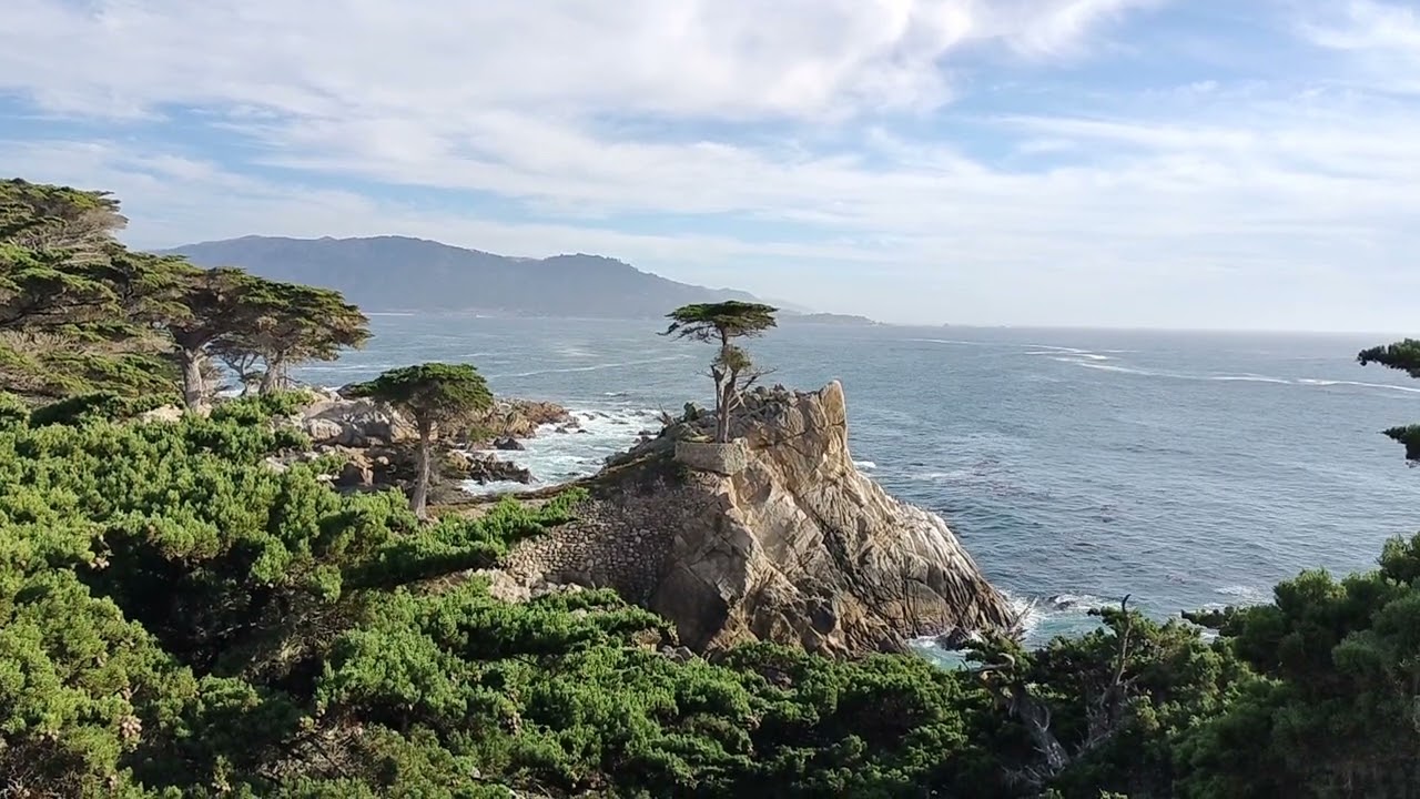 The lone Cypress Pebble Beach