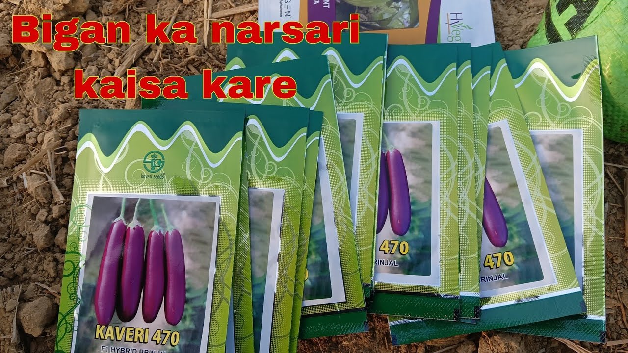 Bigan🥰ka narsari🥰kaisa kara🥰 #vlogvideo10.56.#