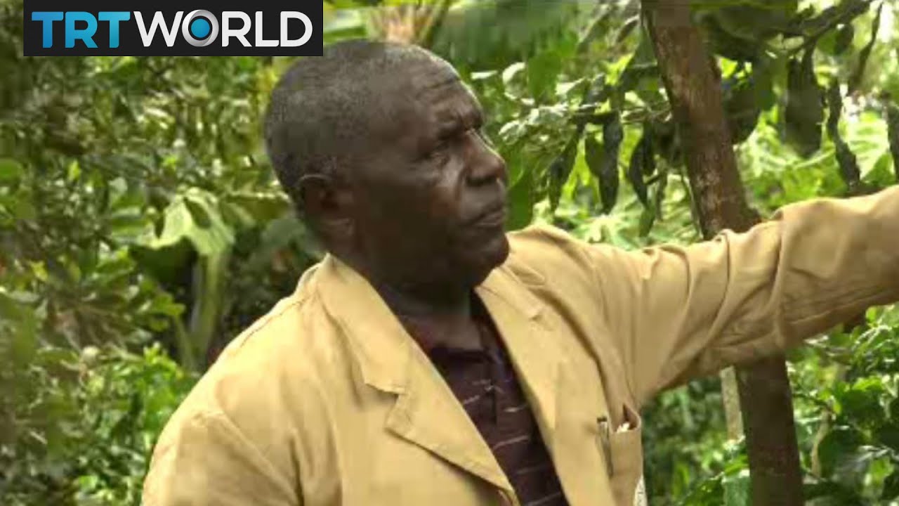 Macadamia Farmers: Macadamia industry promising for Kenyan economy