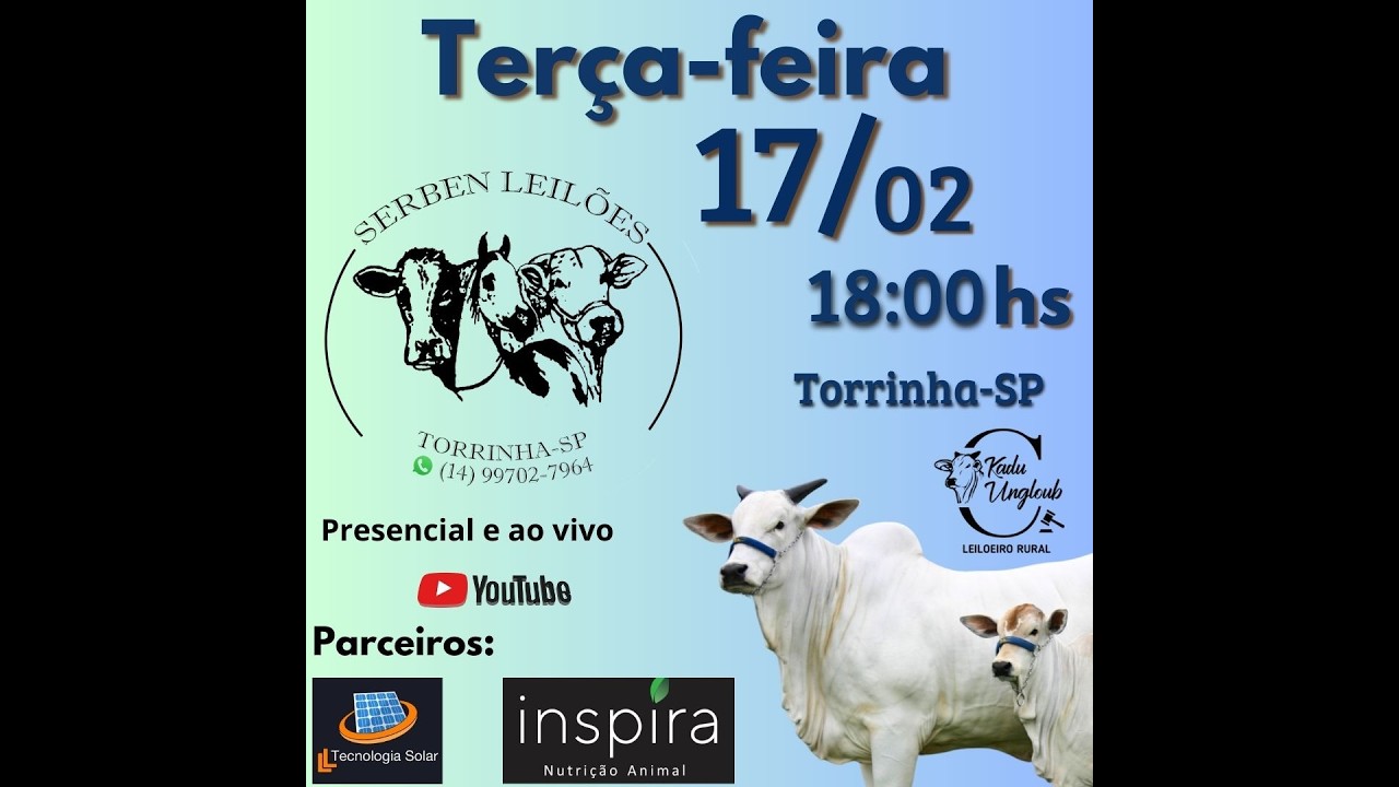 SERBEN LEILÕES - LEILÃO DE GADO- 17/02 - TORRINHA / SP