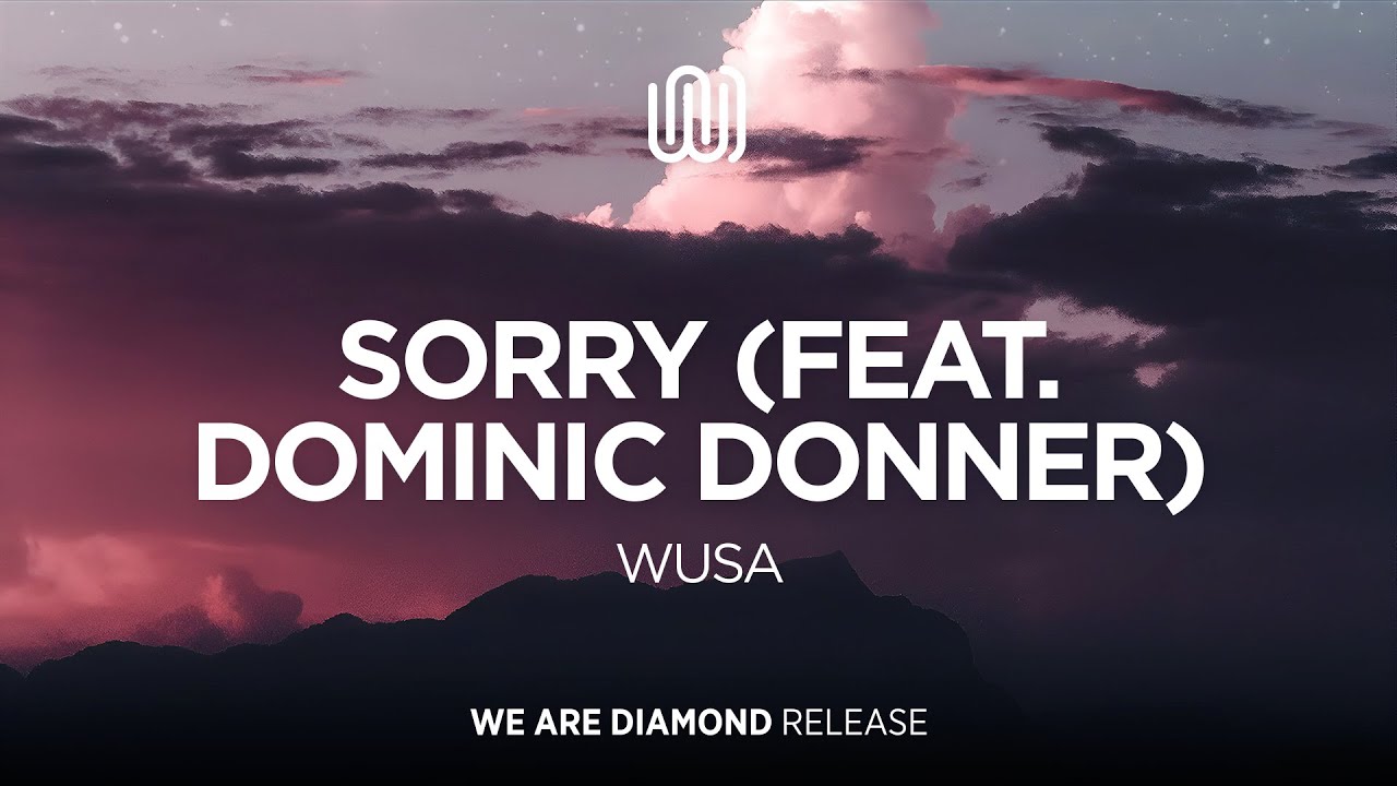 WUSA - Sorry (feat. Dominic Donner)
