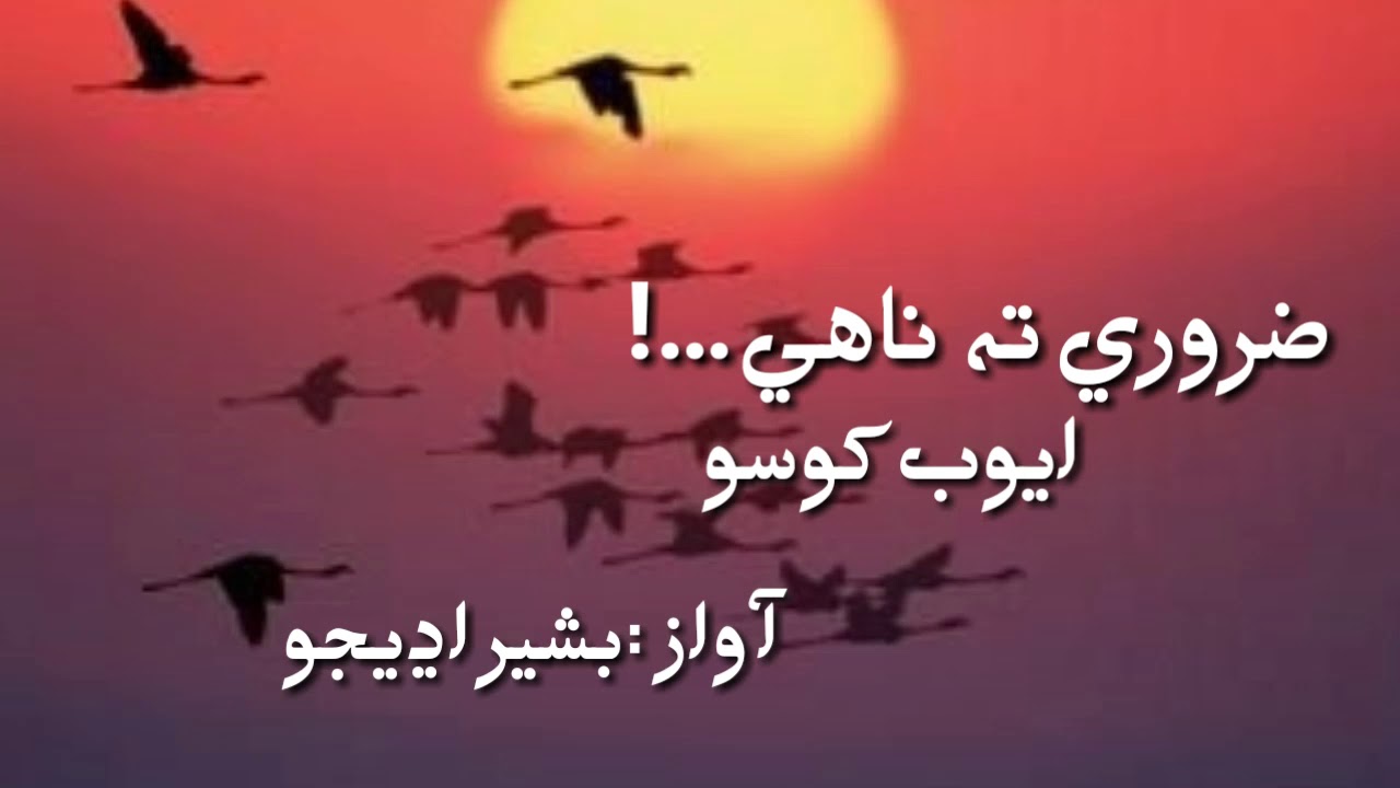 Zarori Ta Nahy | Ayoub Khoso | Voice: Basheer Udhejo