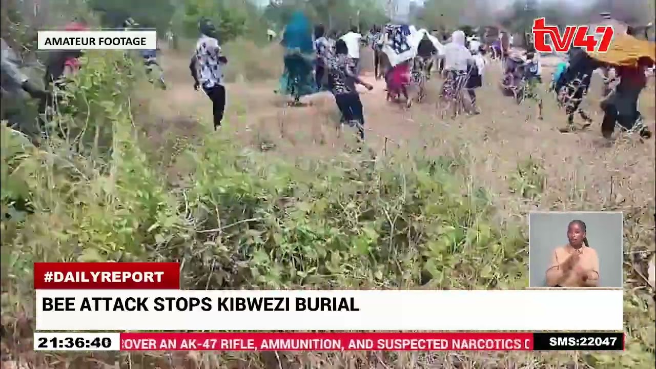 Mourners stung and rushed to hospital after Funeral suspended over bee attack