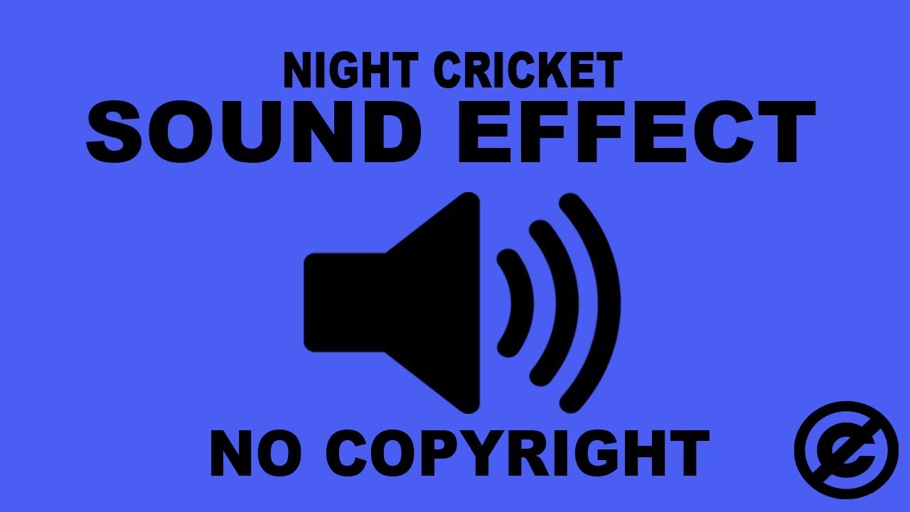 Cricket Sound Effect | No Copyright | Sounds of Night Cricket | Cricket Chirping
