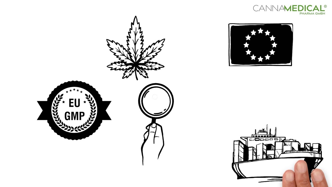 GMP: Was bedeutet Good Manufacturing Practice?