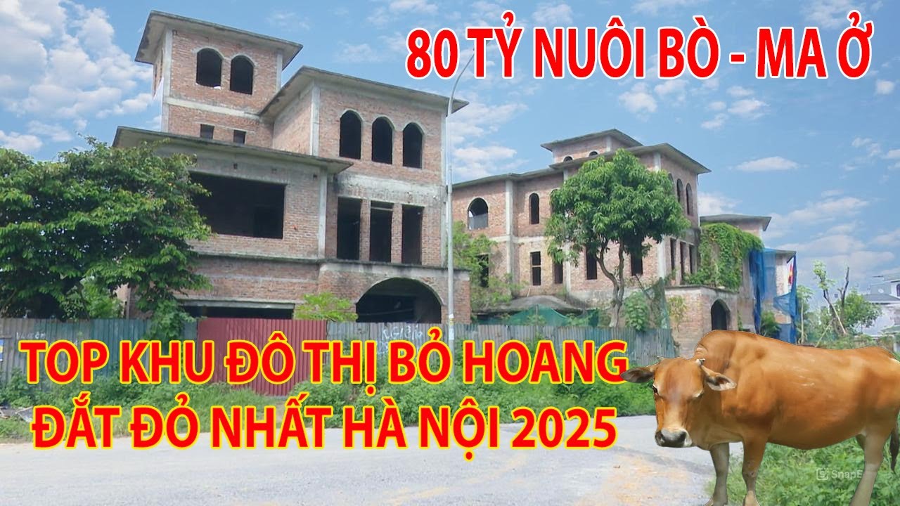 Top Những Khu Đô Thị Bỏ Hoang Đắt Đỏ Nhất Hà Nội