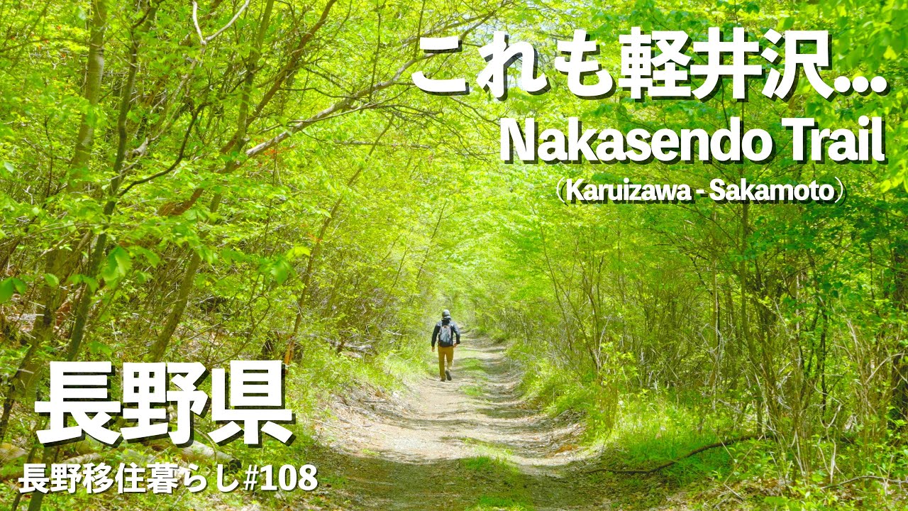 【長野移住】軽井沢から碓氷峠を越えて坂本宿へ!!静かな森の中を歩いた後は絶品カレー!!｜中山道｜軽井沢｜坂本宿｜ドライブ｜田舎暮らし｜長野県｜4K