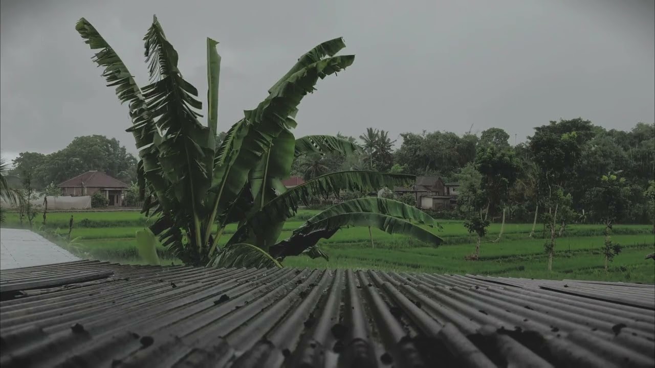 Rain make deep sleep.... 