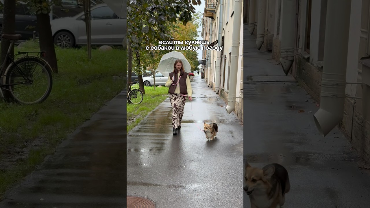 А ты делаешь правильно ?Арт. WB: 259022384 нейтрализатор #нейтрализаторзапахов