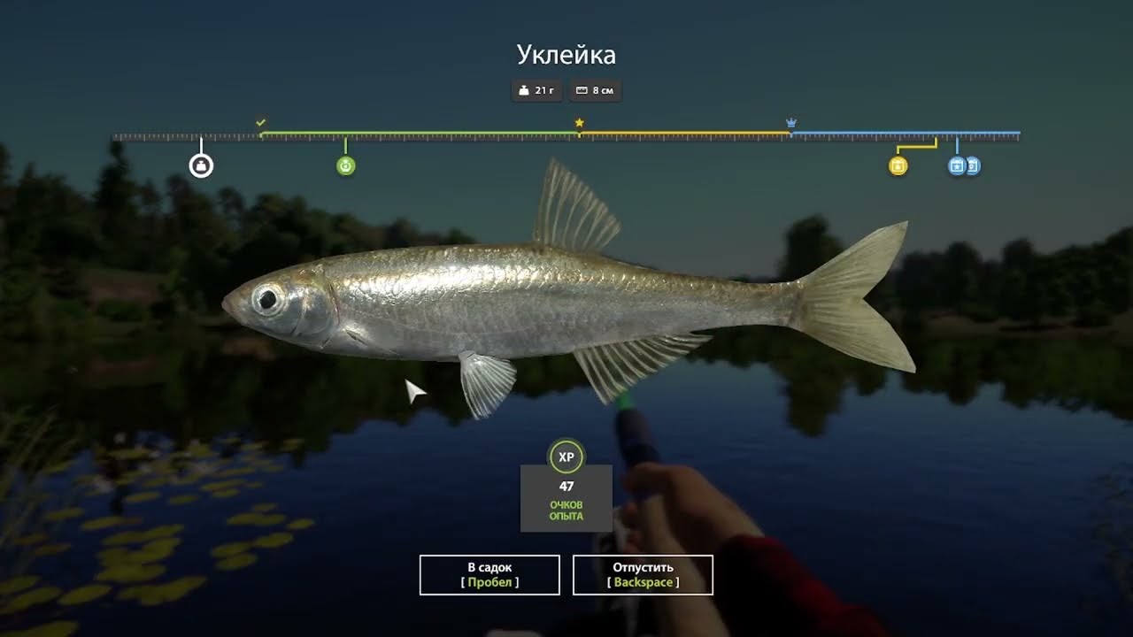 Russian Fishing 4 Русская Рыбалка 4