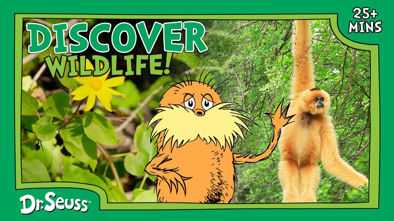 Learn About Wildlife! | Animals & Ecosystems | The Lorax Nature Keepers Club | Dr. Seuss