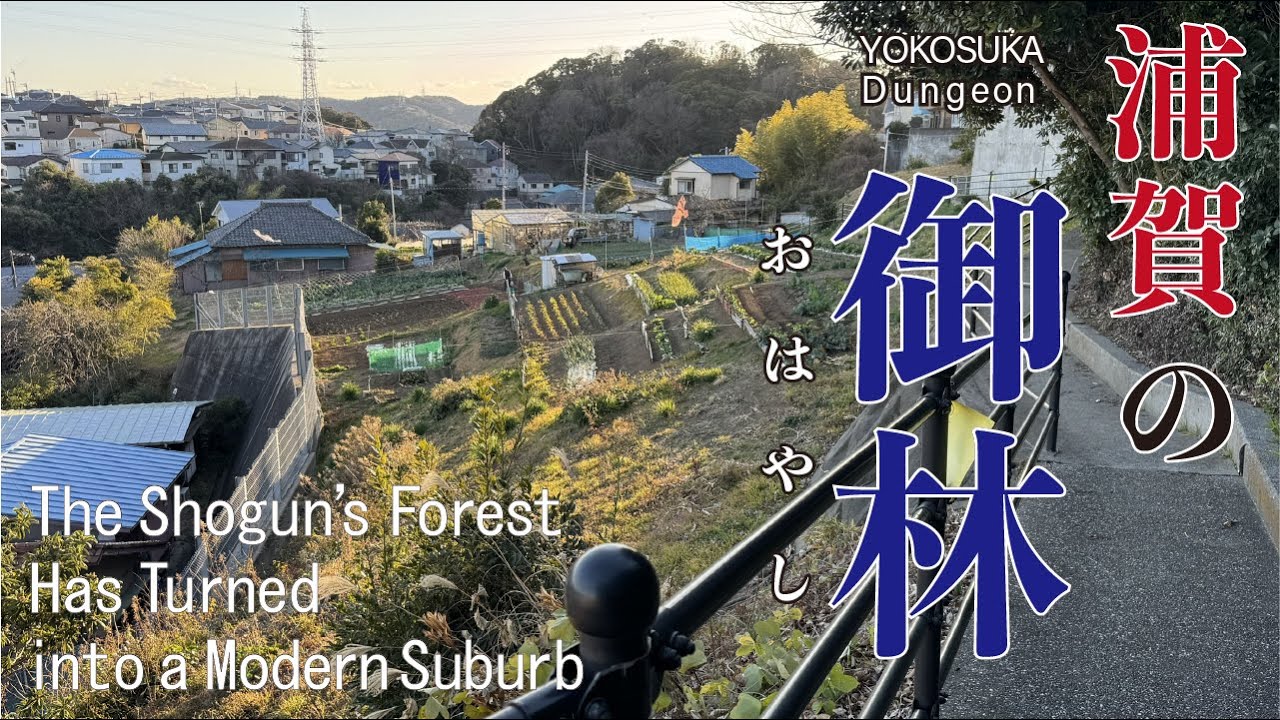 【4K/ナレーション】浦賀の御林を歩いてきた　周辺をぐるりと一周する。横須賀の歴史が凝縮された海沿いの町の景色。怒田城址もあるよ！