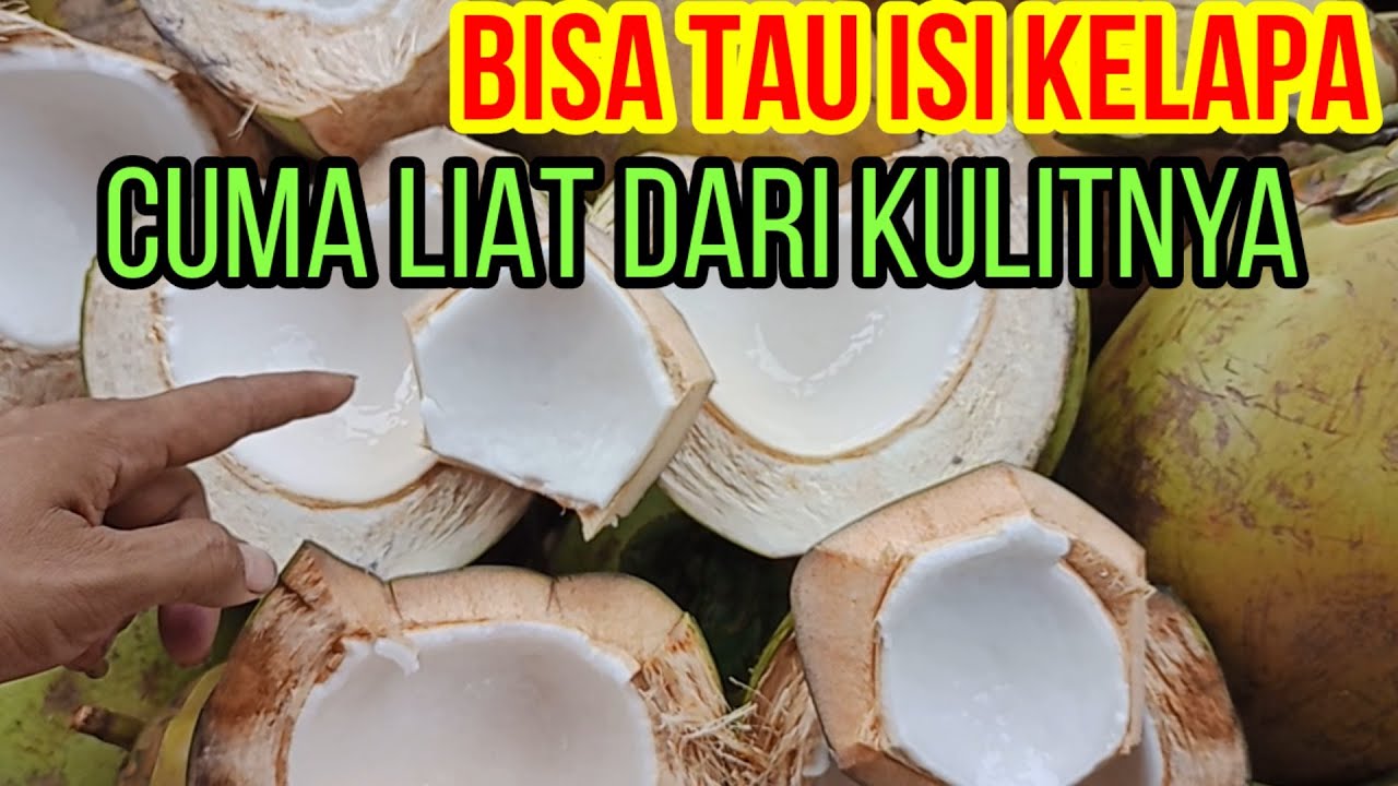 CARA MEMILIH KELAPA MUDA || CARA MEMBEDAKAN KELAPA MUDA DAN TUA || COCONUT CUTTING SKILLS