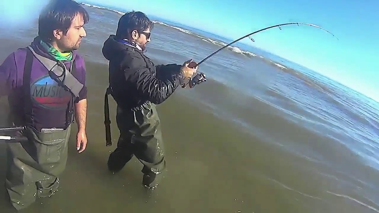 Pesca a Spinning Leccia AMIA 35 kg