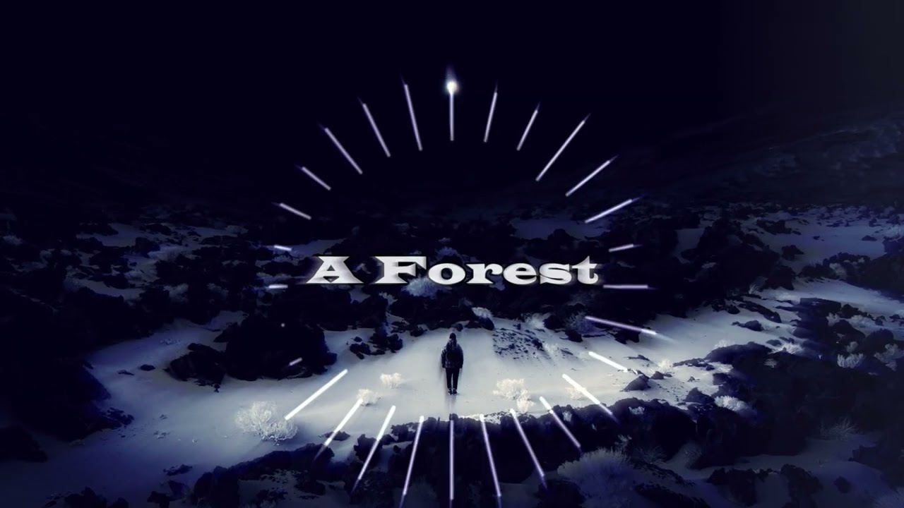 [HIDDEN] AFRO - A FOREST - AFRO ☯ SHADOW