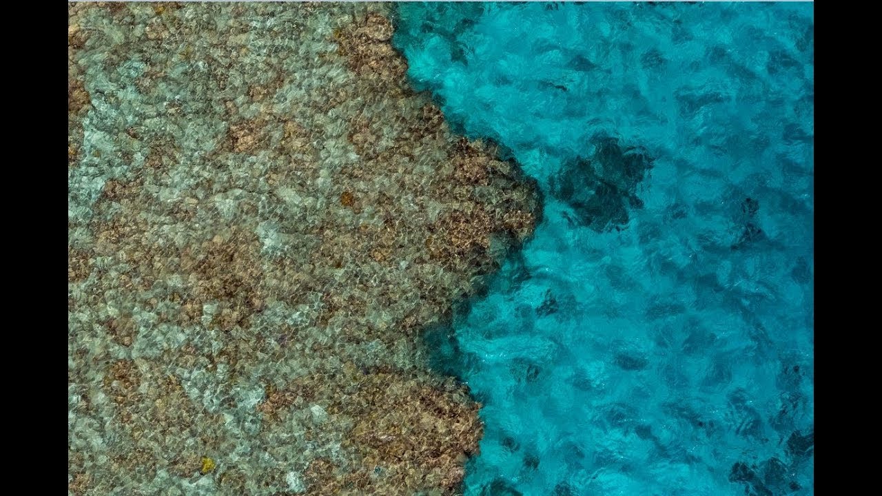 Down Under from Above | Photographing the Great Barrier Reef