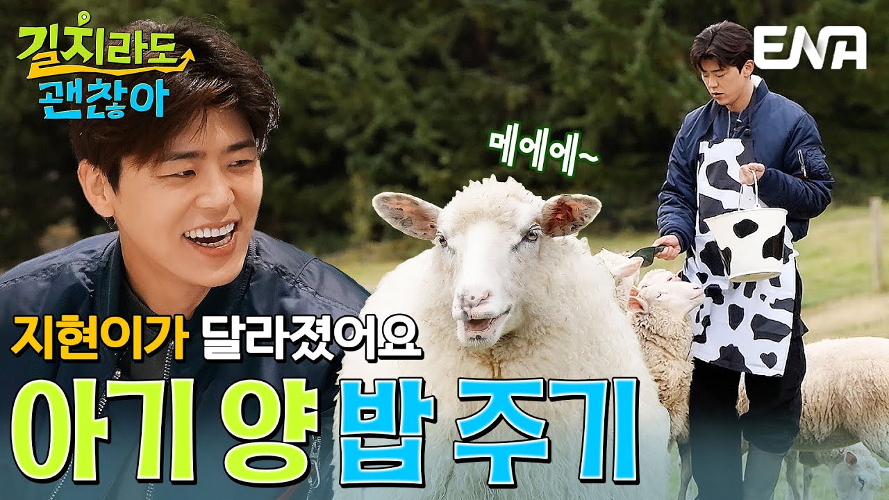 박지현이 달라졌어요✨ 일본의 알프스 초원! 홋카이도 양 떼 목장 체험🐏 #길치라도괜찮아 EP.6