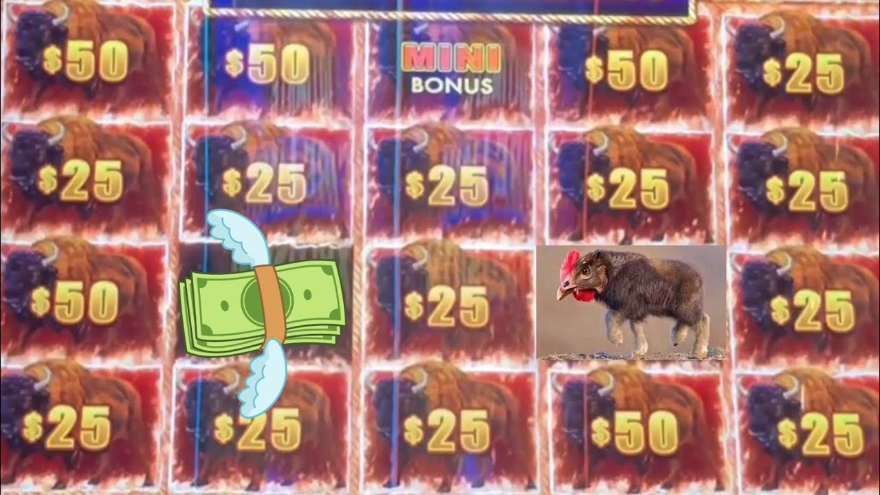 Chasing 1800 Insanity! $25/bet Buffalo Link-3 Jackpots
