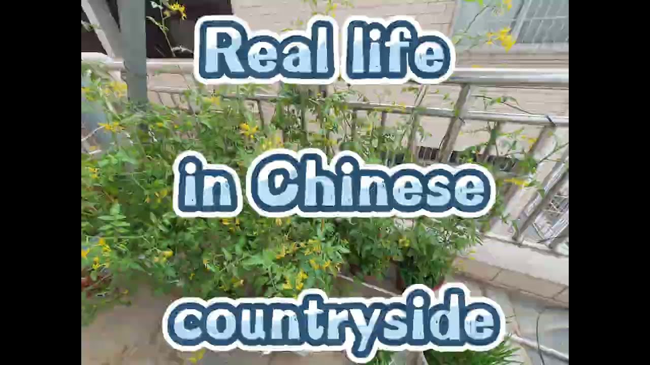 What is real life in Chinese countryside like