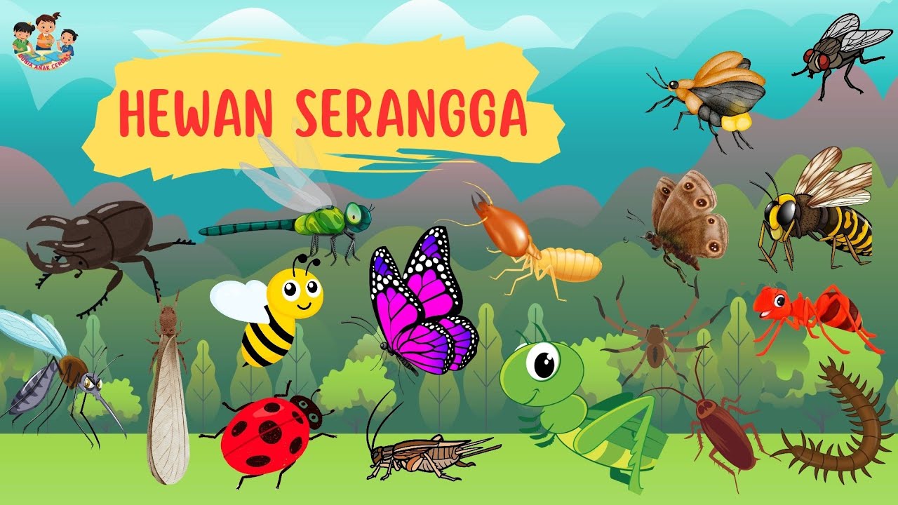 Belajar Mengenal Nama-Nama Serangga - Video Edukasi Anak || Dunia Anak Cerdas
