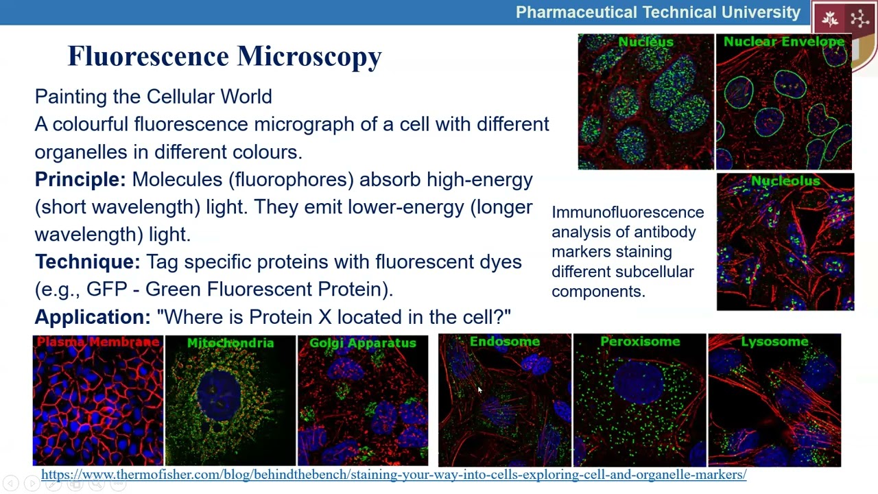 Microscopy. In English