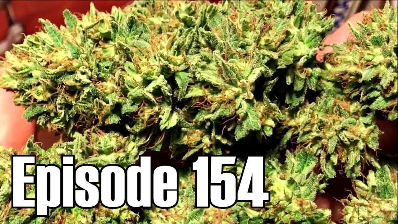 Fire OG and Sweet Lemon Harvest - Episode 154