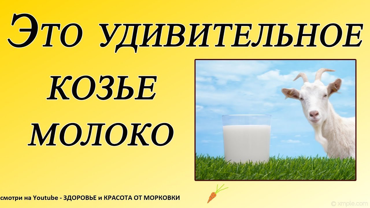 А вы знали, что козье молоко лечит....