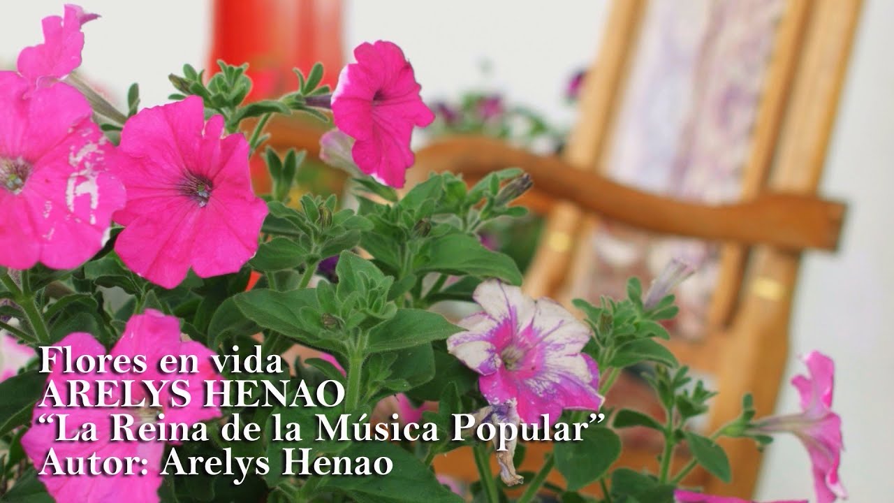 Flores En Vida - Arelys Henao (Video Oficial)