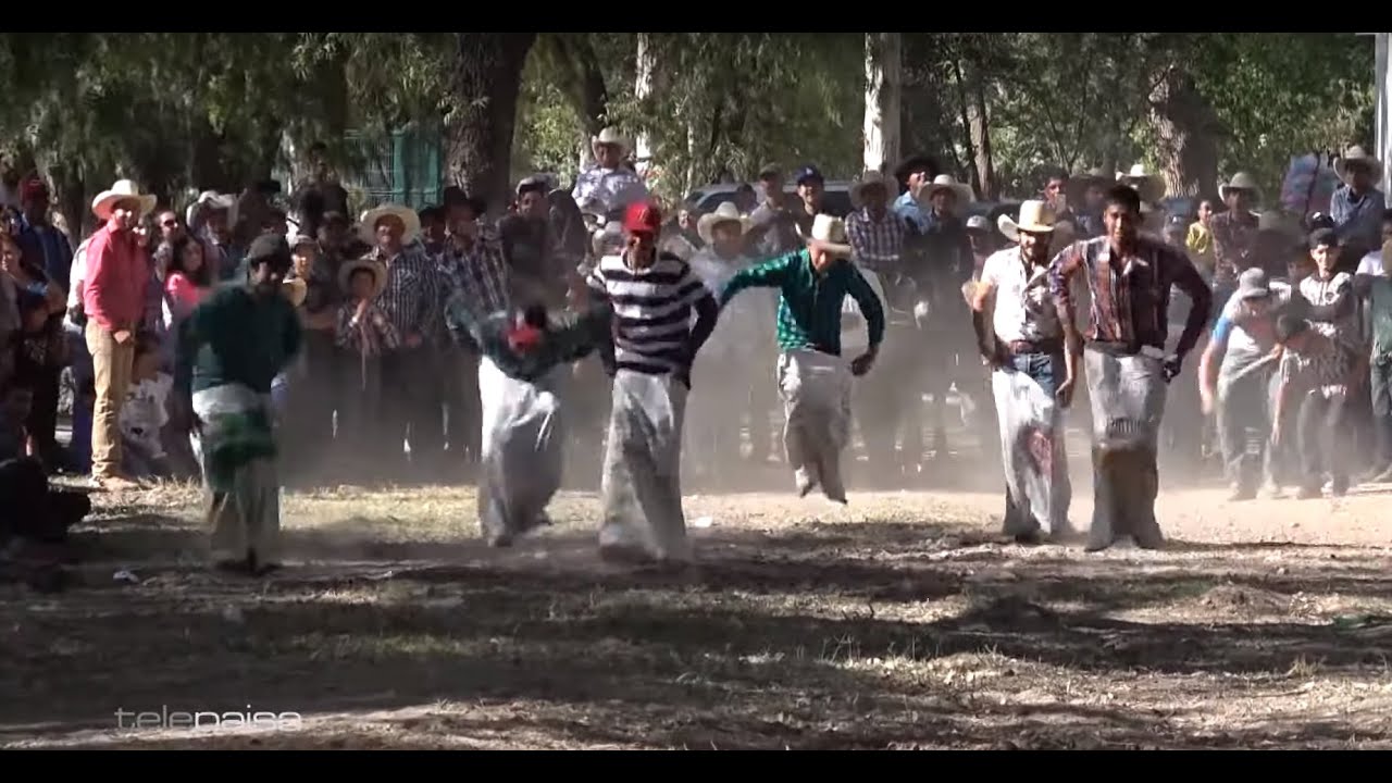 Carrera De Burros y de Costales