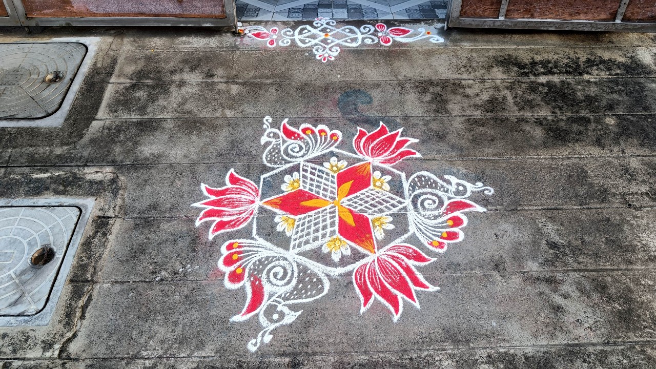 Panguni Madham Special Kolam | 5*3 Star Kolam | Lotus Rangoli | Peacock Rangoli | S3-154