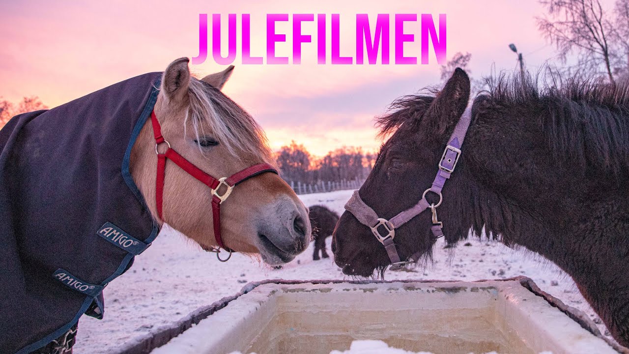 Tana VGS Julefilm 2020
