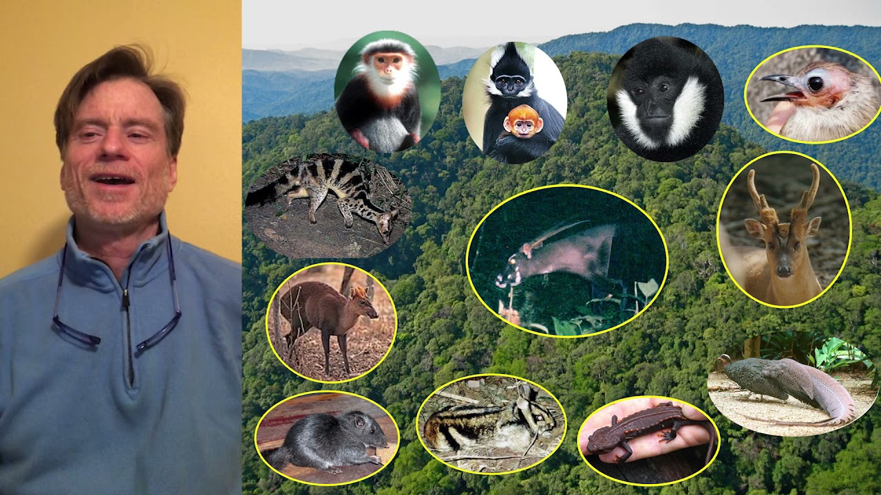 World Saola Day Activity Presentation