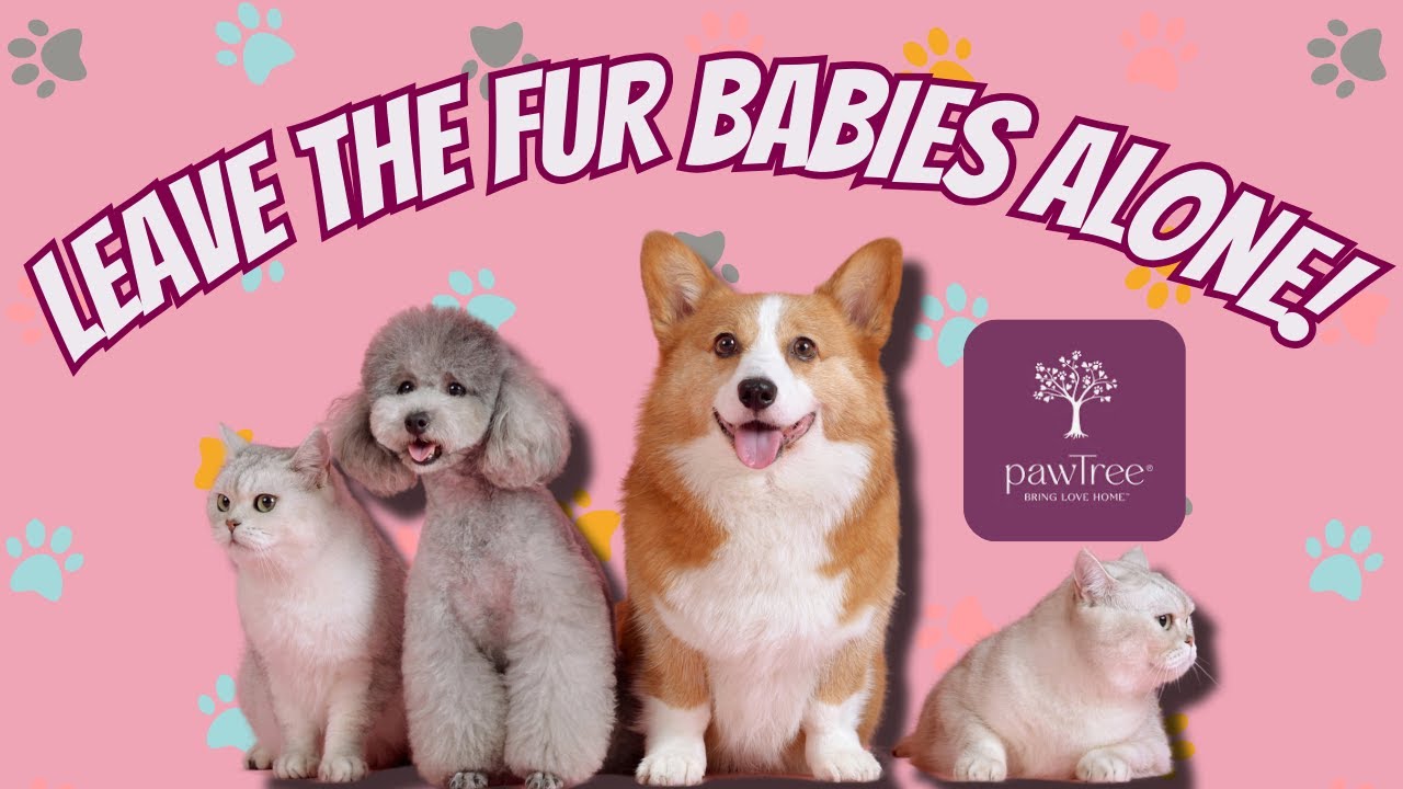 Exposing the Dark Side of Pet MLMs: How They Exploit Your Love for Animals!