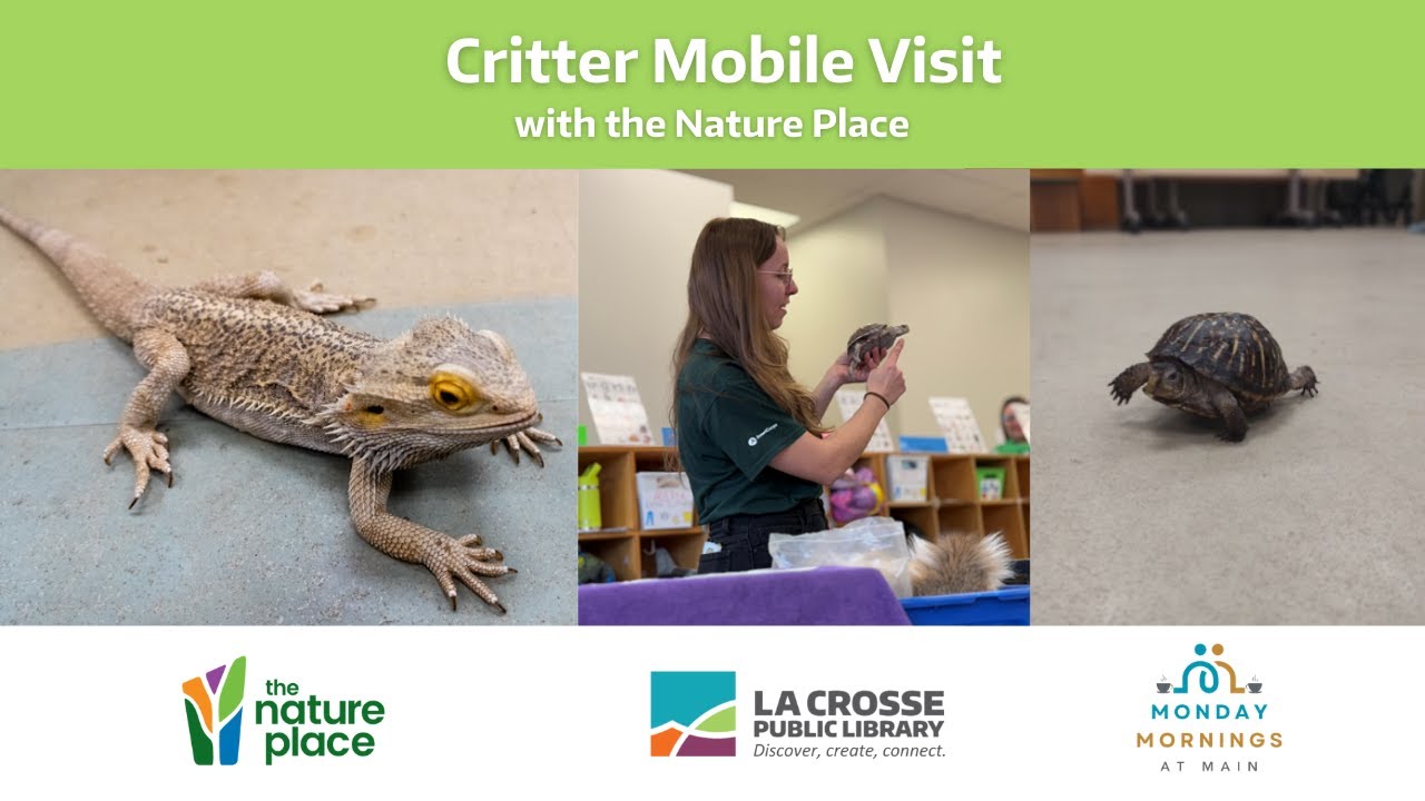 Monday Mornings at Main: Critter Mobile Visit